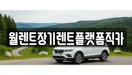 경기도 수원시 영통구 망포동 장기렌트카 전문 월렌트장기렌트플랫폼직카