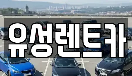 경기도 수원시 팔달구 장안동 렌트카 전문 유성렌트카