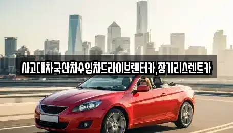 경기도 시흥시 물왕동 렌트카 전문 사고대차국산차수입차드라이브렌터카,장기리스렌트카