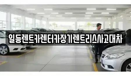 경기도 시흥시 물왕동 렌트카 전문 일등렌트카렌터카장기렌트리스사고대차