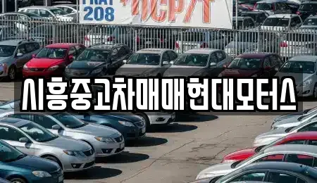 경기도 시흥시 물왕동 중고차,렌트카,중고차매입,중고차매매,장기렌트카,단기렌트카