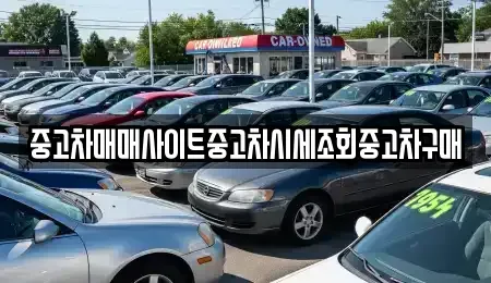 경기도 시흥시 물왕동 중고차 전문 중고차매매사이트중고차시세조회중고차구매
