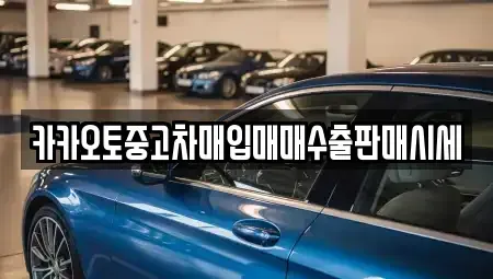 경기도 시흥시 물왕동 중고차매입 전문 카카오토중고차매입매매수출판매시세