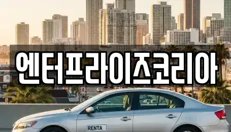 경기도 시흥시 신천동 단기렌트카 전문 엔터프라이즈코리아