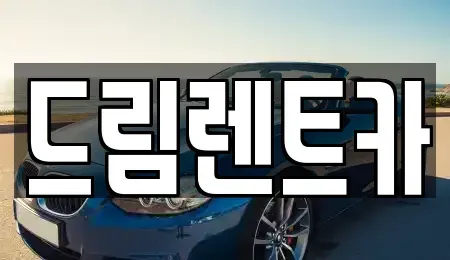 경기도 시흥시 신천동 렌트카 전문 드림렌트카