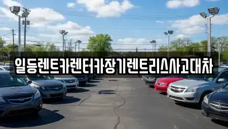경기도 시흥시 신천동 장기렌트카 전문 일등렌트카렌터카장기렌트리스사고대차