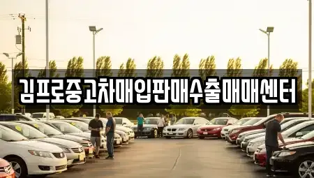 경기도 시흥시 신천동 중고차 전문 김프로중고차매입판매수출매매센터