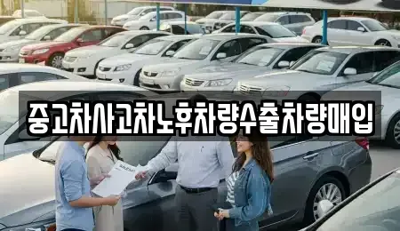 경기도 시흥시 신천동 중고차,렌트카,중고차매입,중고차매매,장기렌트카,단기렌트카