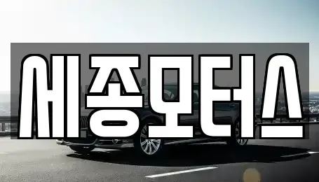 경기도 시흥시 신천동 중고차매매 전문 세종모터스