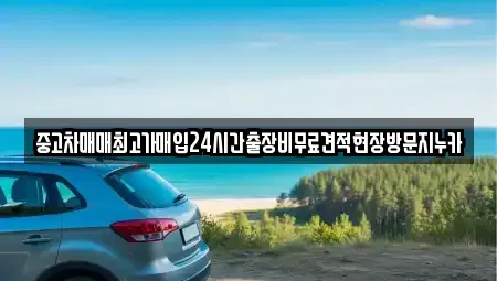 경기도 시흥시 신천동 중고차매매 전문 중고차매매최고가매입24시간출장비무료견적현장방문지누카
