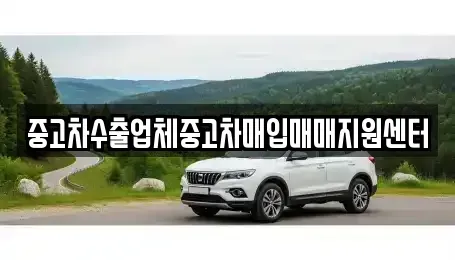경기도 시흥시 신천동 중고차매입 전문 중고차수출업체중고차매입매매지원센터