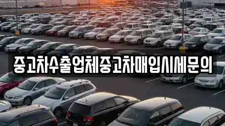 경기도 시흥시 신천동 중고차매입 전문 중고차수출업체중고차매입시세문의