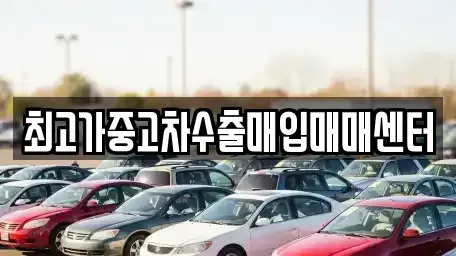 경기도 시흥시 신천동 중고차매입 전문 최고가중고차수출매입매매센터
