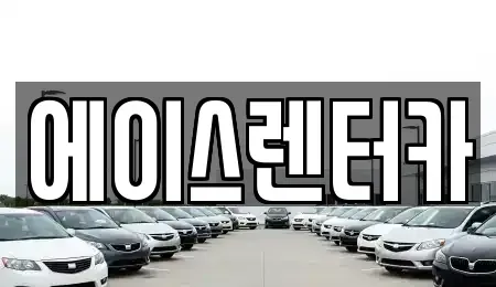 경기도 안성시 대덕면 렌트카 전문 에이스렌터카