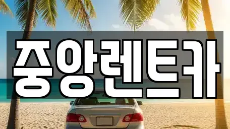 경기도 안성시 대덕면 렌트카 전문 중앙렌트카