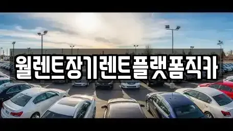 경기도 안성시 대덕면 장기렌트카 전문 월렌트장기렌트플랫폼직카