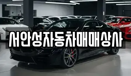 경기도 안성시 대덕면 중고차매매 전문 서안성자동차매매상사