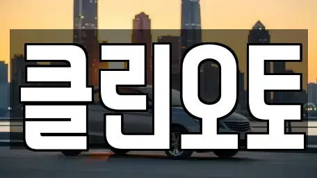경기도 안성시 대덕면 중고차매매 전문 클린오토