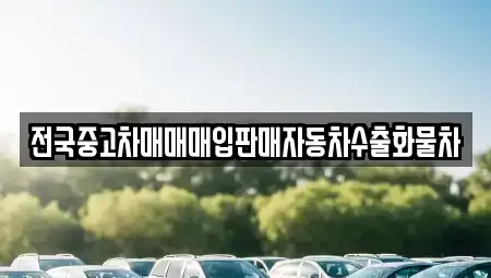 경기도 안성시 대덕면 중고차매입 전문 전국중고차매매매입판매자동차수출화물차