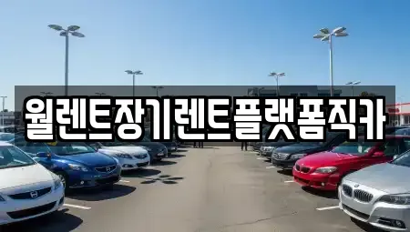 경기도 안성시 창전동 렌트카 전문 월렌트장기렌트플랫폼직카
