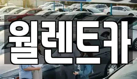 경기도 안성시 창전동 렌트카 전문 월렌트카