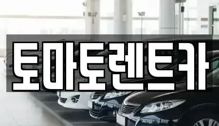 경기도 안성시 창전동 렌트카 전문 토마토렌트카