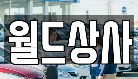경기도 안성시 창전동 중고차매매 전문 월드상사