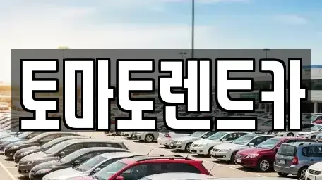 경기도 양주시 만송동 렌트카 전문 토마토렌트카