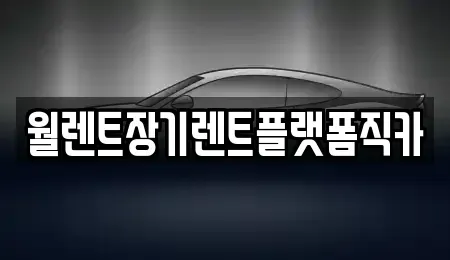 경기도 양평군 장기렌트카 전문 월렌트장기렌트플랫폼직카