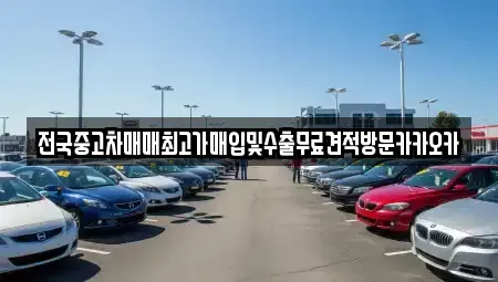 경기도 여주시 현암동 중고차매입 전문 전국중고차매매최고가매입및수출무료견적방문카카오카
