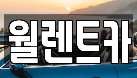 경기도 오산시 가수동 렌트카 전문 월렌트카
