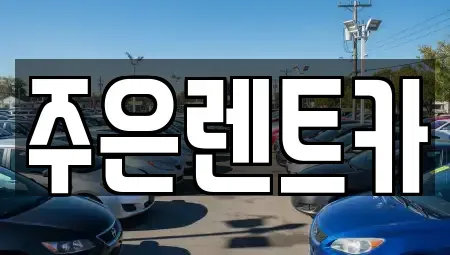 경기도 오산시 가수동 장기렌트카 전문 주은렌트카