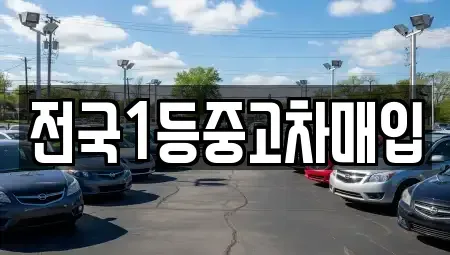 경기도 오산시 가수동 중고차 전문 전국1등중고차매입