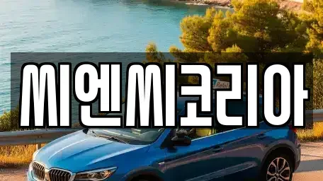경기도 오산시 부산동 단기렌트카 전문 씨엔씨코리아