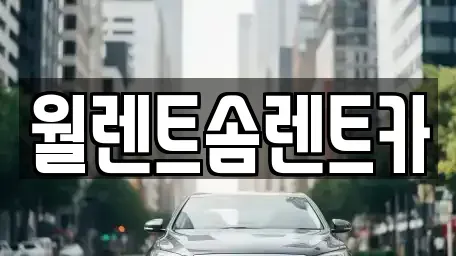 경기도 오산시 부산동 렌트카 전문 월렌트솜렌트카