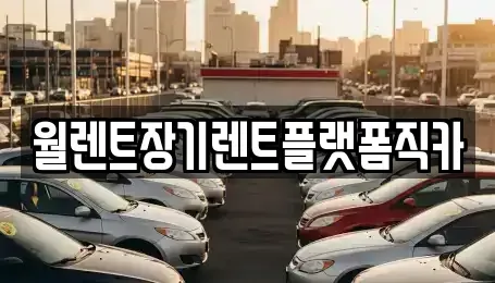 경기도 오산시 부산동 장기렌트카 전문 월렌트장기렌트플랫폼직카