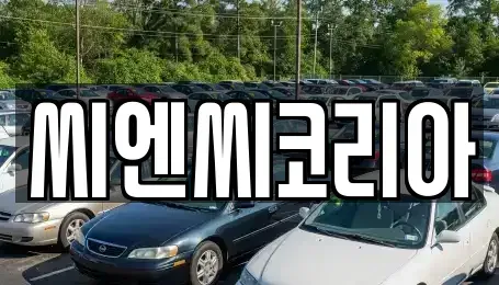 경기도 오산시 수청동 단기렌트카,중고차매입,중고차매매,중고차,렌트카,장기렌트카