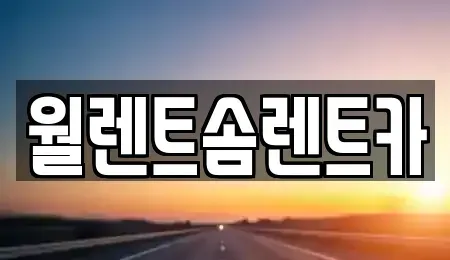 경기도 오산시 수청동 렌트카 전문 월렌트솜렌트카