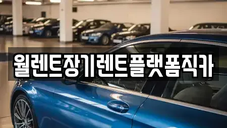 경기도 오산시 수청동 장기렌트카 전문 월렌트장기렌트플랫폼직카