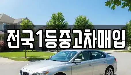 경기도 오산시 수청동 중고차매입 전문 전국1등중고차매입