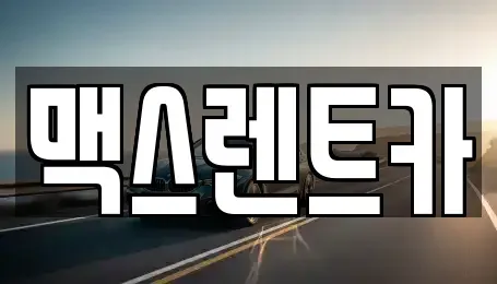 경기도 용인시 기흥구 지곡동 렌트카 전문 맥스렌트카