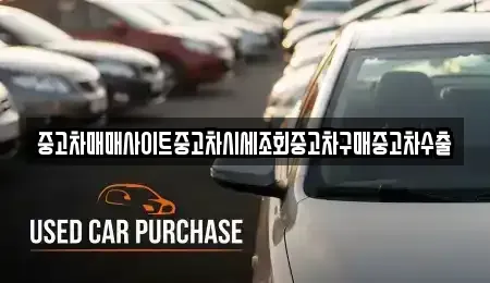 경기도 용인시 기흥구 지곡동 중고차 전문 중고차매매사이트중고차시세조회중고차구매중고차수출