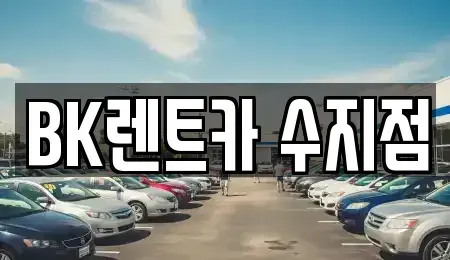 경기도 용인시 수지구 죽전동 렌트카 전문 BK렌트카 수지점