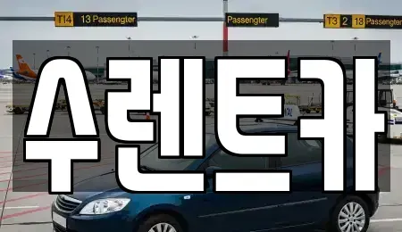 경기도 용인시 수지구 죽전동 렌트카 전문 수렌트카
