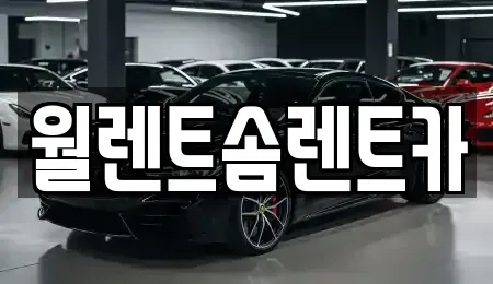 경기도 용인시 수지구 죽전동 렌트카 전문 월렌트솜렌트카