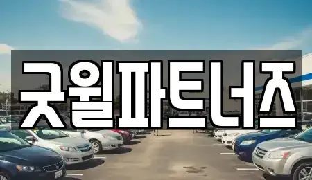 경기도 용인시 수지구 죽전동 장기렌트카 전문 굿윌파트너즈
