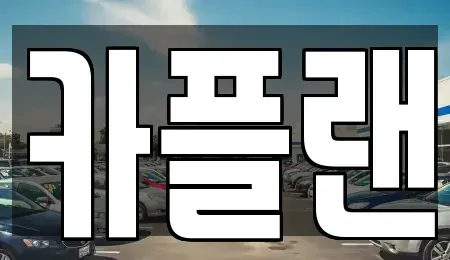 경기도 용인시 수지구 죽전동 장기렌트카 전문 카플랜