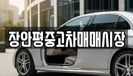 경기도 용인시 수지구 죽전동 중고차매매 전문 장안평중고차매매시장