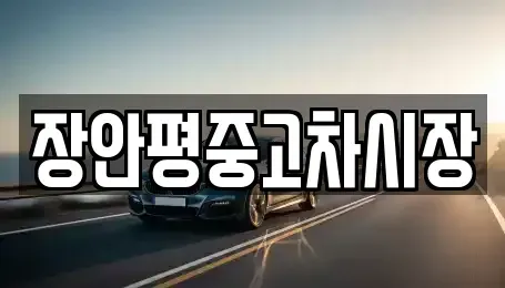 경기도 용인시 수지구 죽전동 중고차매매 전문 장안평중고차시장