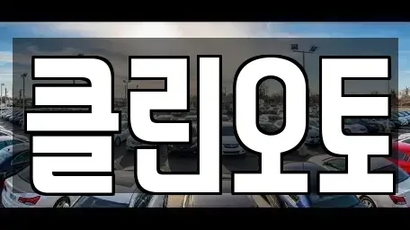 경기도 용인시 수지구 죽전동 중고차매매 전문 클린오토